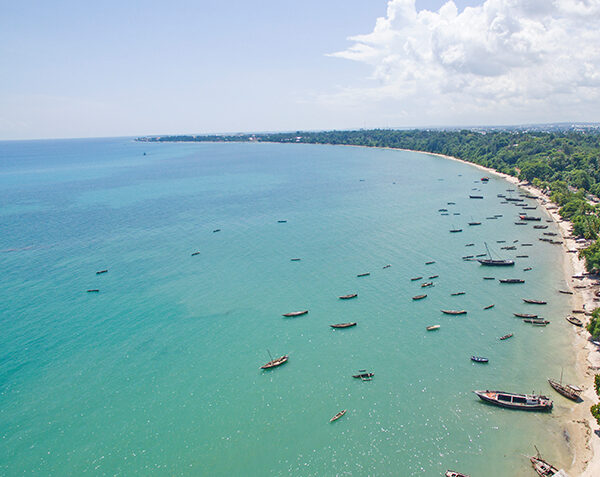 Kenya and Explore Tanzania with Our Tours and Safaris Packages