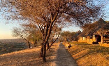Lodge Safaris Northern Circuit TTSL 017