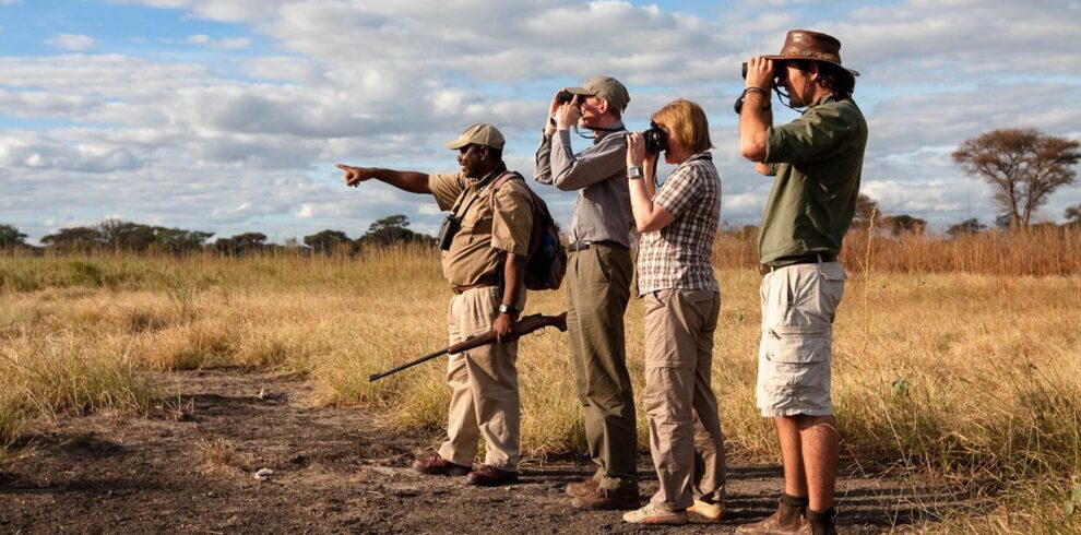 Mount Kilimanjaro climbing tours