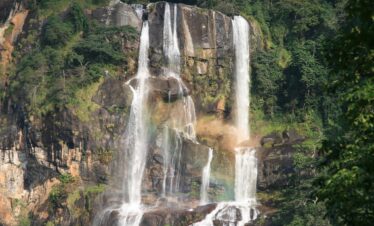 Mikumi & Udzungwa Mountain National Parks Tour Safaris