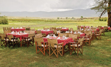 Luxury Lodge Safari Northern Circuit TTSL 016 Tanzania
