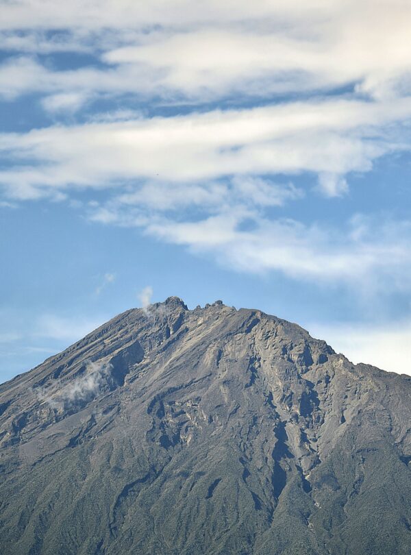 Luxury Safari Tours in Tanzania and Kenya