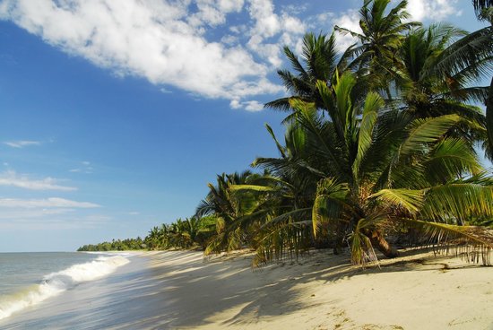 Tours and Safaris Packages