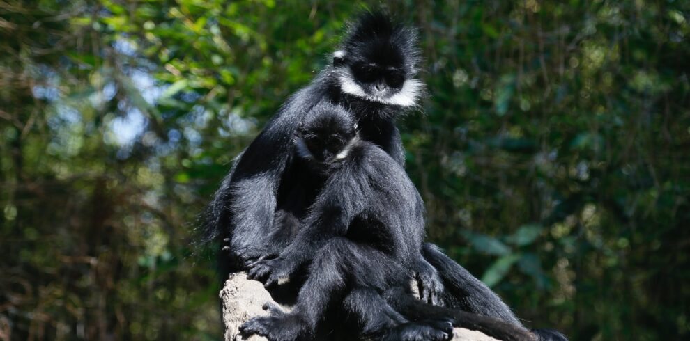 adventure camping safaris in Tanzania