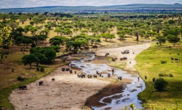 Best Kilimanjaro tour operators