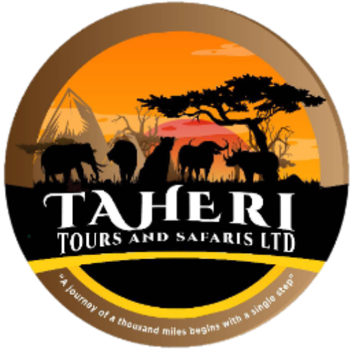 Taheri Tours and Safaris Ltd Logo