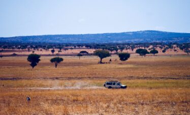 Nyerere Mikumi Ruaha safari Zanzibar tour
