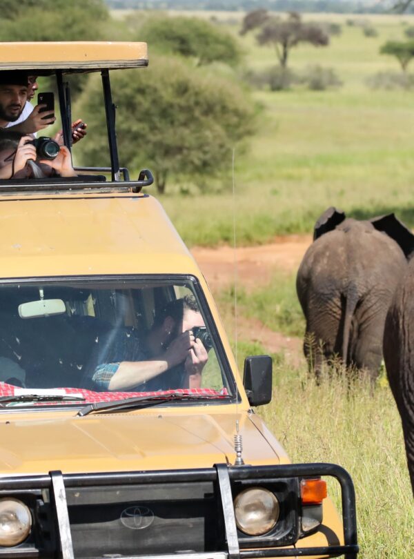 Ultimate Luxury Safari Tours in Tanzania
