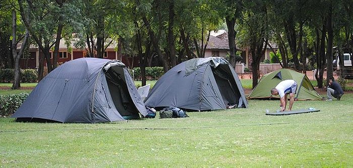 best safari companies in Tanzania